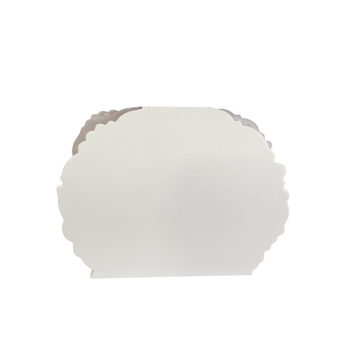 קופסה סגירת פרפר (12 יחידות)