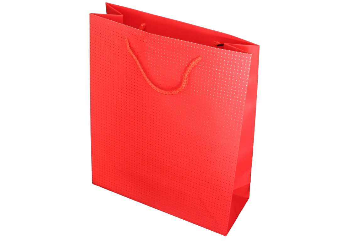 שקית נייר מנצנצת