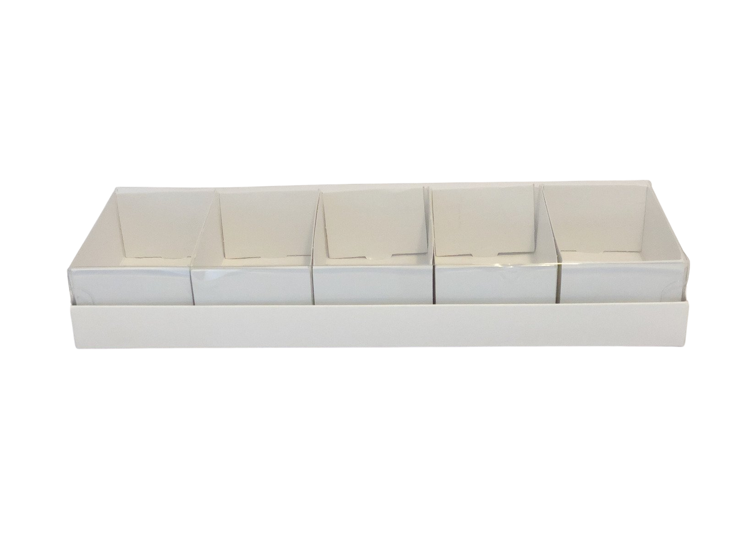 קופסה מחולקת מכסה שקוף (10 יחידות)