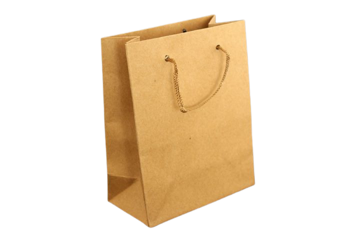 שקית נייר ידית שרוך (10 יחידות)