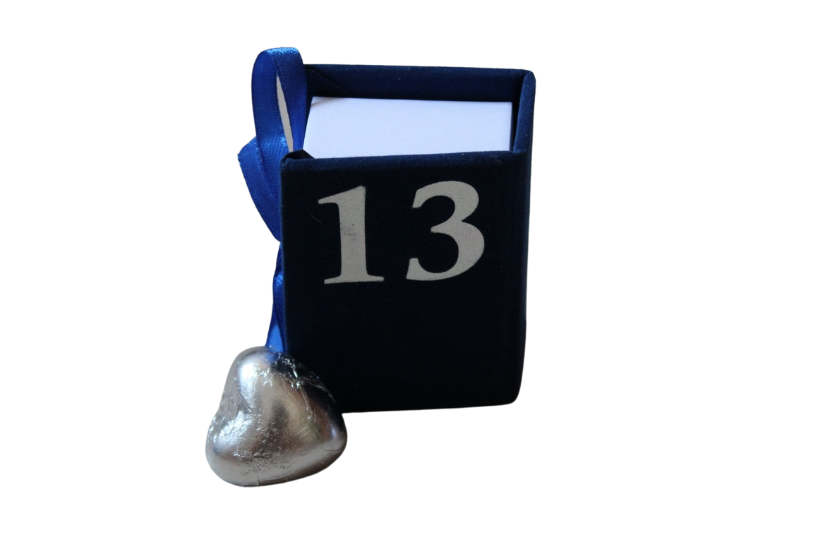 קופסה קטיפה דמוי ספר (12 יחידות)