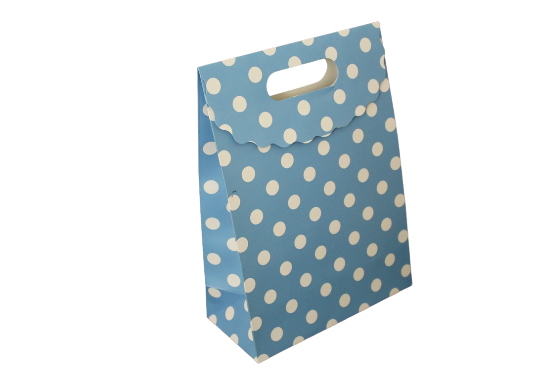 שקית נקודות עם סגירה